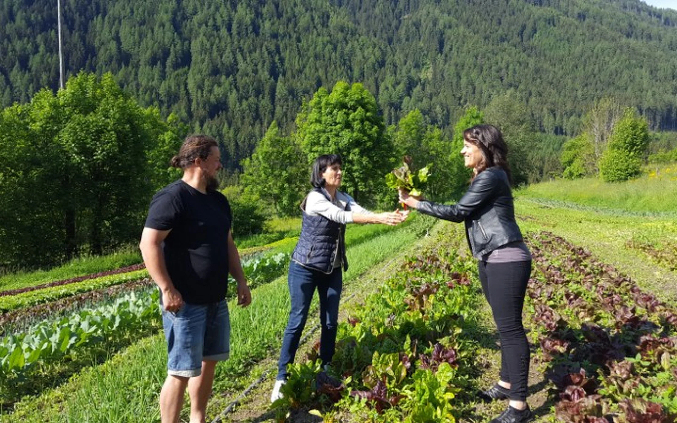 20180526 Vorbereitung_Mangold 51_800x450.jpg